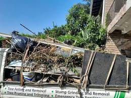 Best Shed Removal  in Franklin Grove, IL